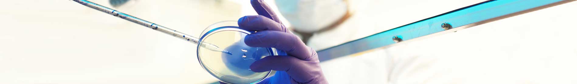 Bioequivalence Bioequivalence