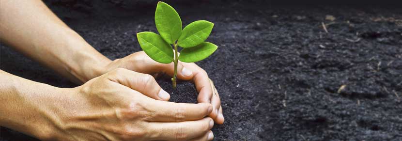 Ecological Footprint Ecological Footprint