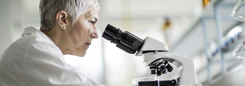 Research and Development Research and Development